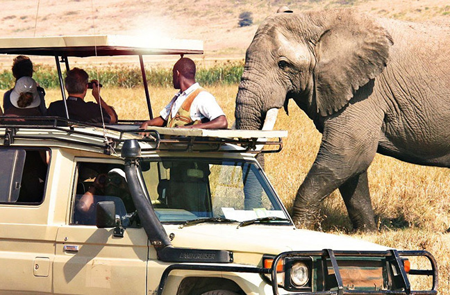 Safaris in Tanzania