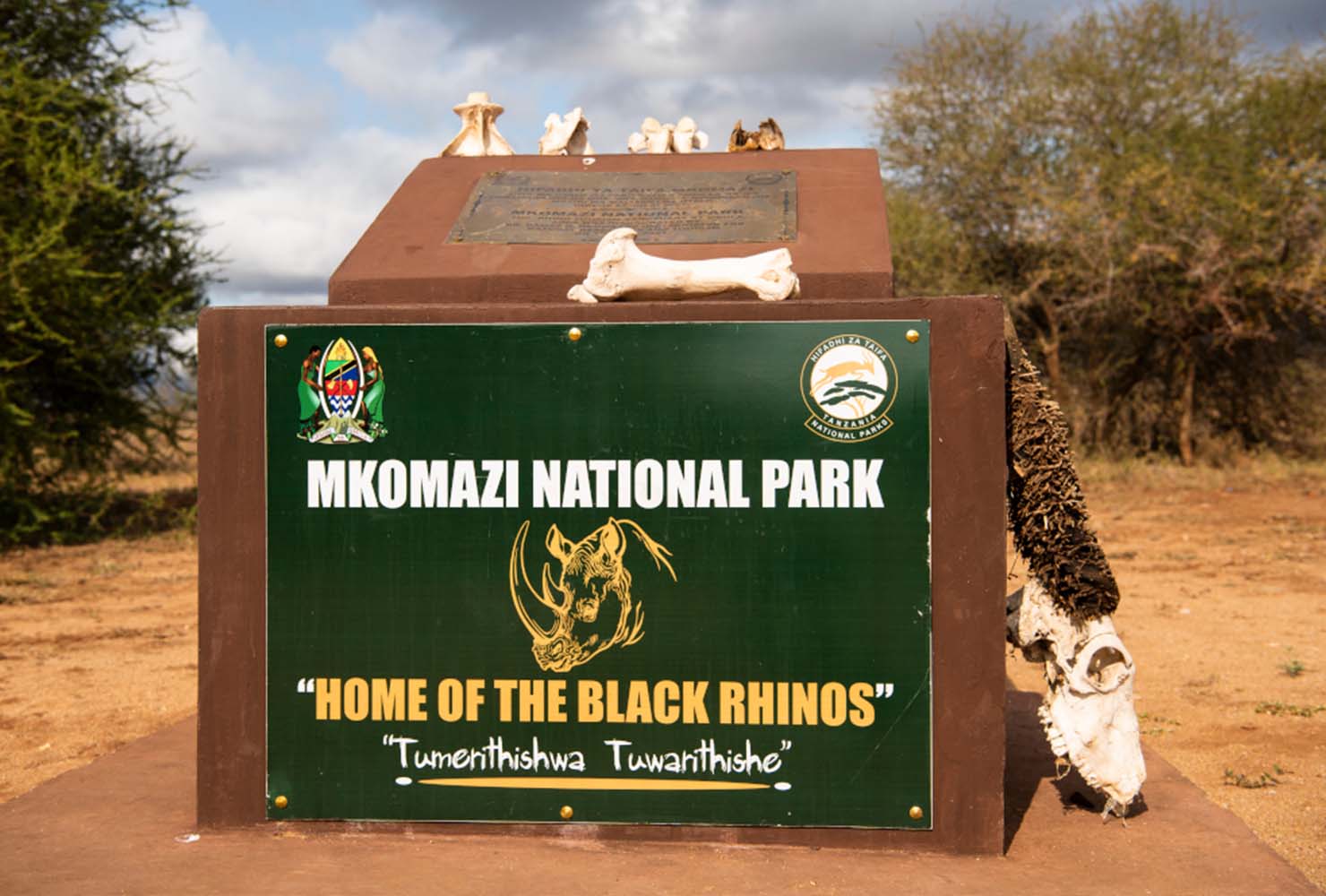 Mkomazi National Park Day Safari